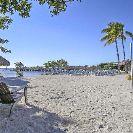 Vitamin Sea Tavernier Exterior photo